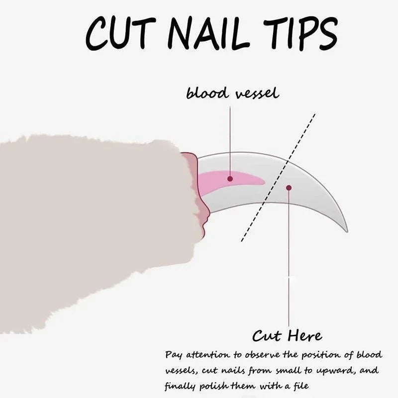 Pet Nail Clipper with Safety Guard – Professional Grooming Tool for Dogs & Cats